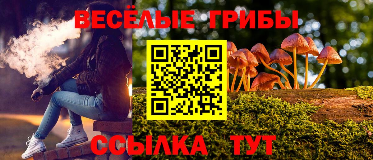 Галлюциногенные грибы мицелий  Псилоцибиновые грибы Psilocybe  Сарапул  Вход с VPN 